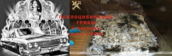 шишки Богданович