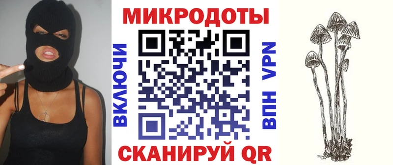 купить наркотики цена  Кизел  Псилоцибиновые грибы мицелий 